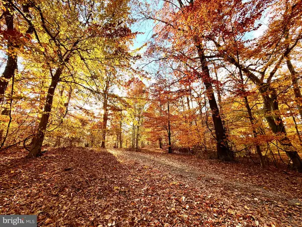 Goaway Road, HEDGESVILLE, WV 25427