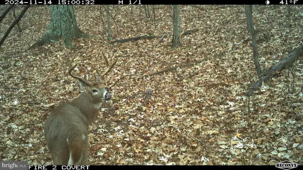 Terrain Drive, HEDGESVILLE, WV 25427