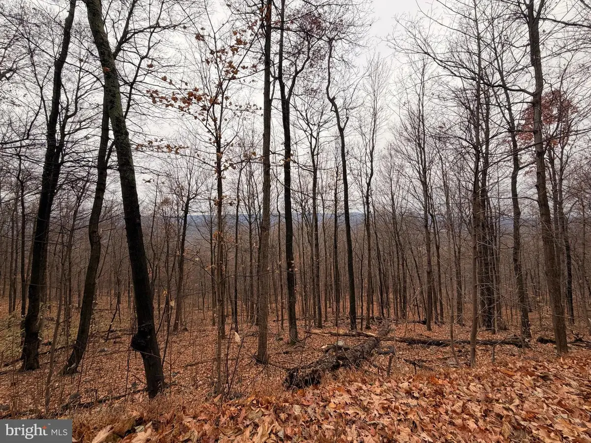 6.71 Ac Lot 9 Gobbler Lane, Hedgesville, WV 25427 - Image #1