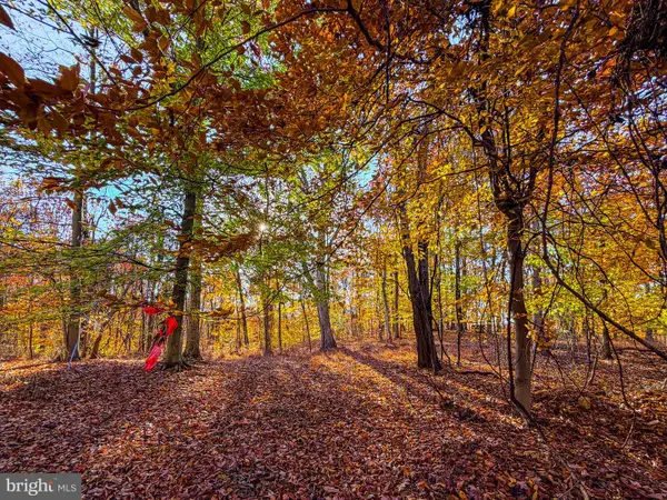 Goaway Road #1, HEDGESVILLE, WV 25427