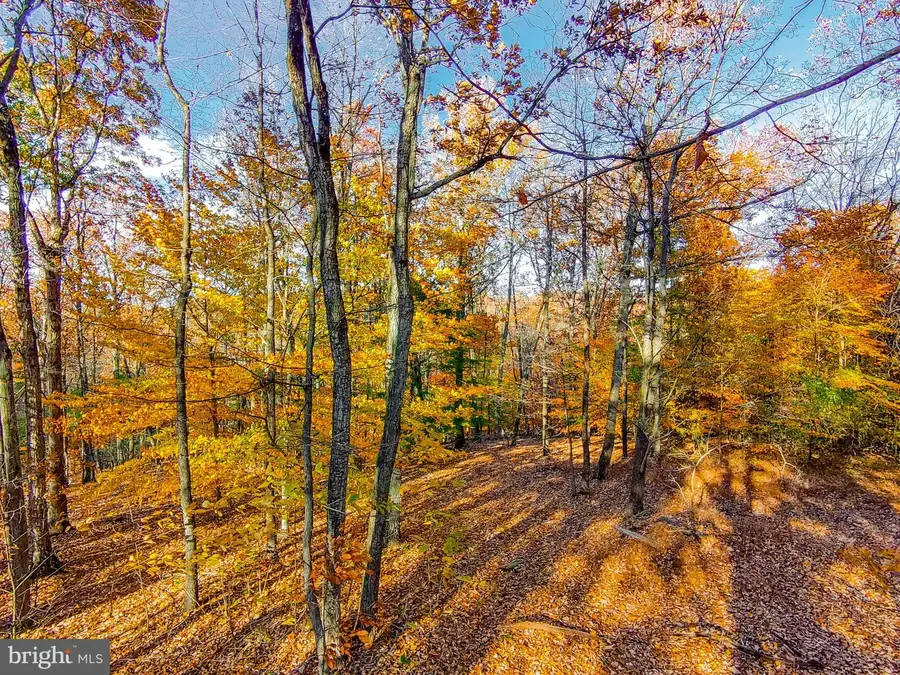 Goaway Road #2, Hedgesville, WV 25427 - Image #2