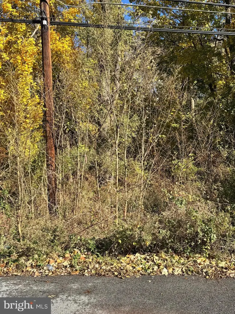 Lot 75 Rothwell Ave, Martinsburg, WV 25401 - Image #2