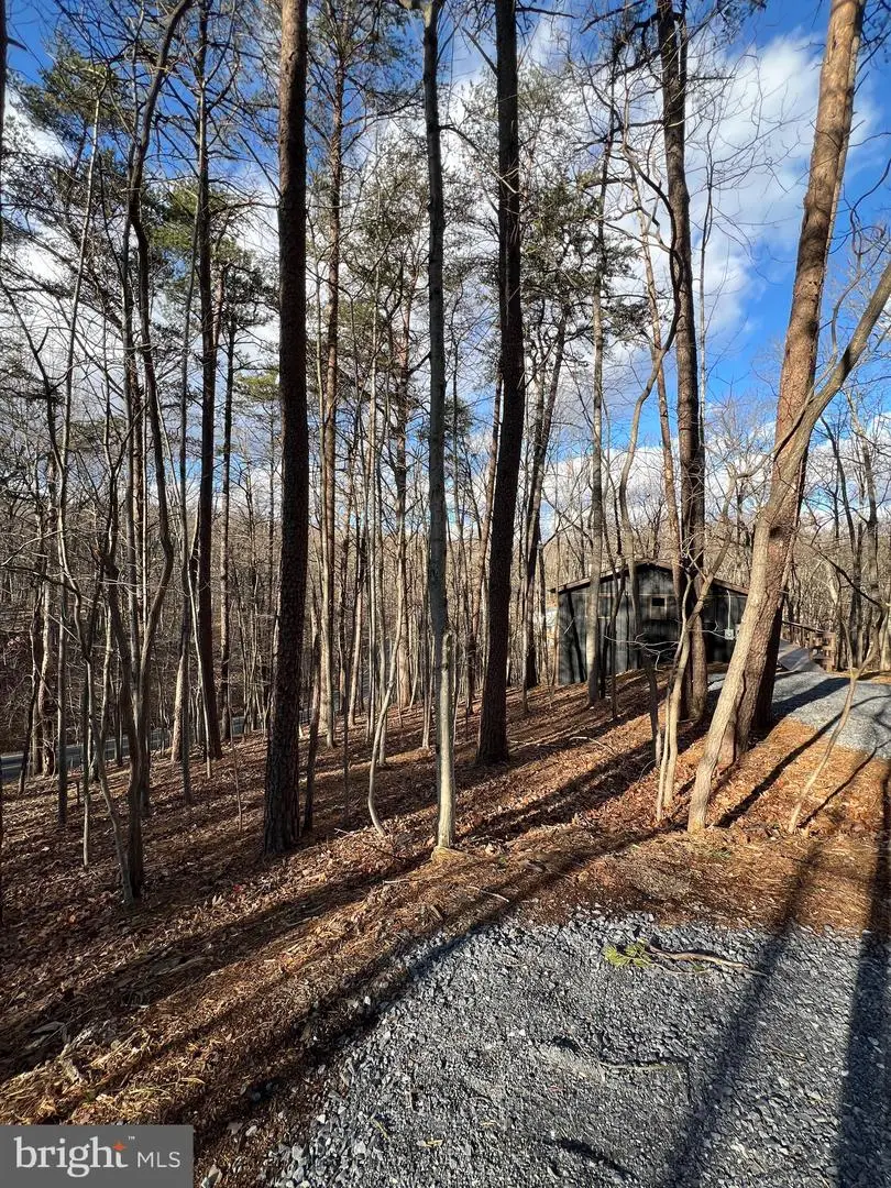 23 Chief Cornstalk Trl, Hedgesville, WV 25427 - Image #3