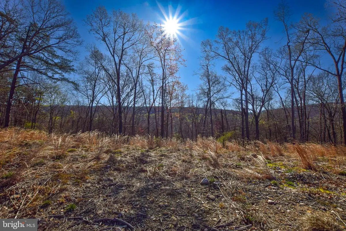 Lot 25 Vixen Ln, Gerrardstown, WV 25420 - Image #1