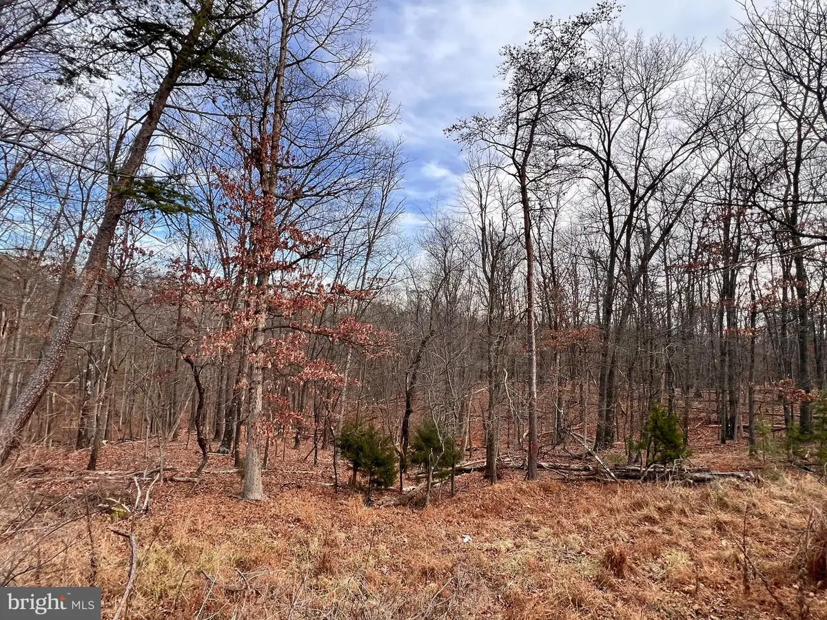 Lot 25 Nemacolin Trl, Hedgesville, WV 25427 - Image #1