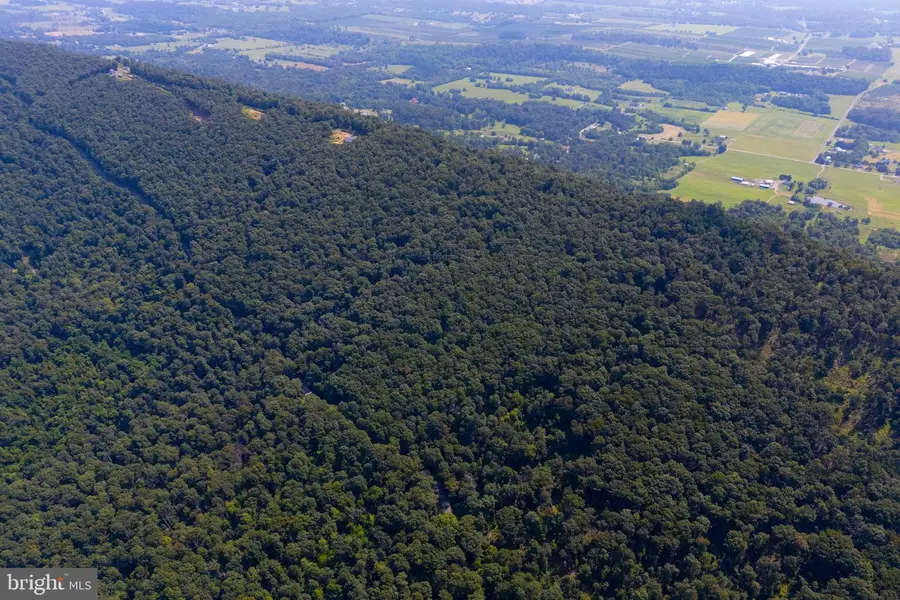 Lot 12 Radio Tower Rd, Martinsburg, WV 25403 - #3
