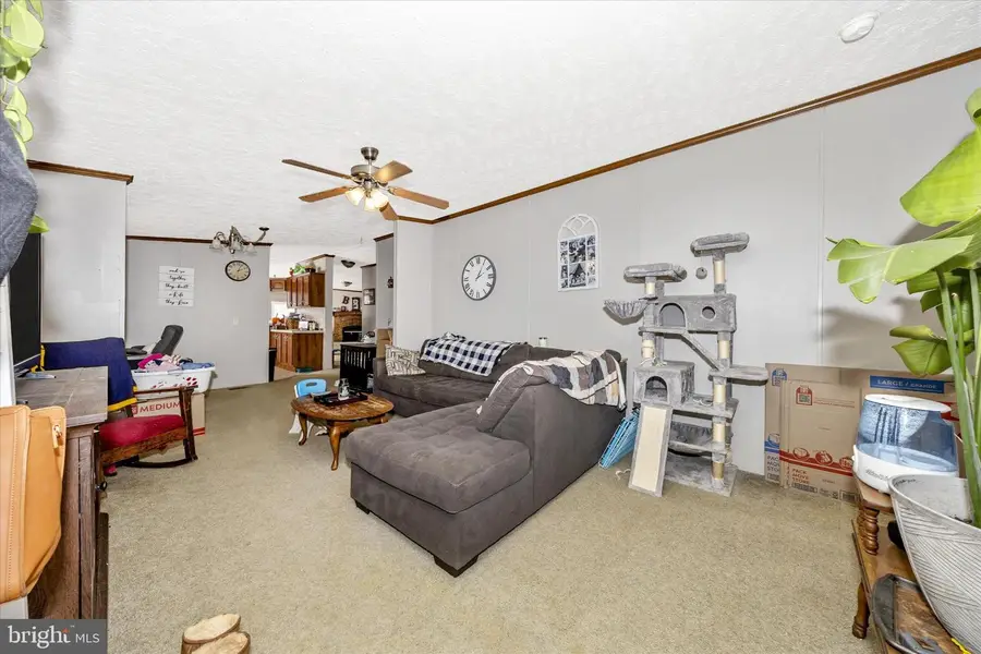 122 Pauls Pl, Falling Waters, WV 25419 - #3