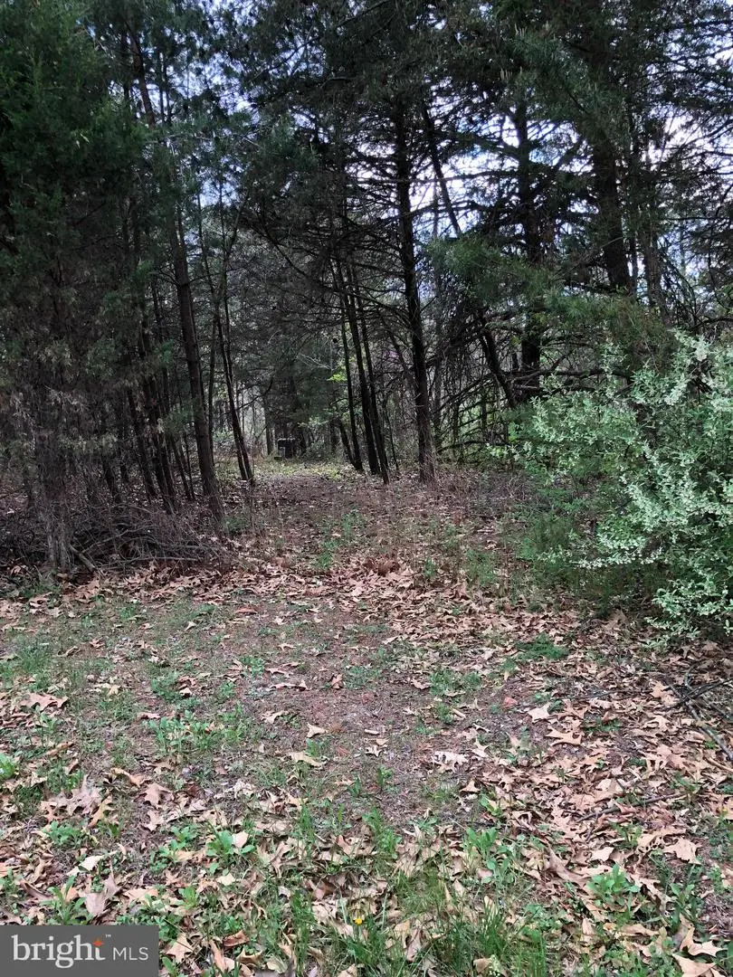Lot A Nadenbousch Ln, Inwood, WV 25428 - #3