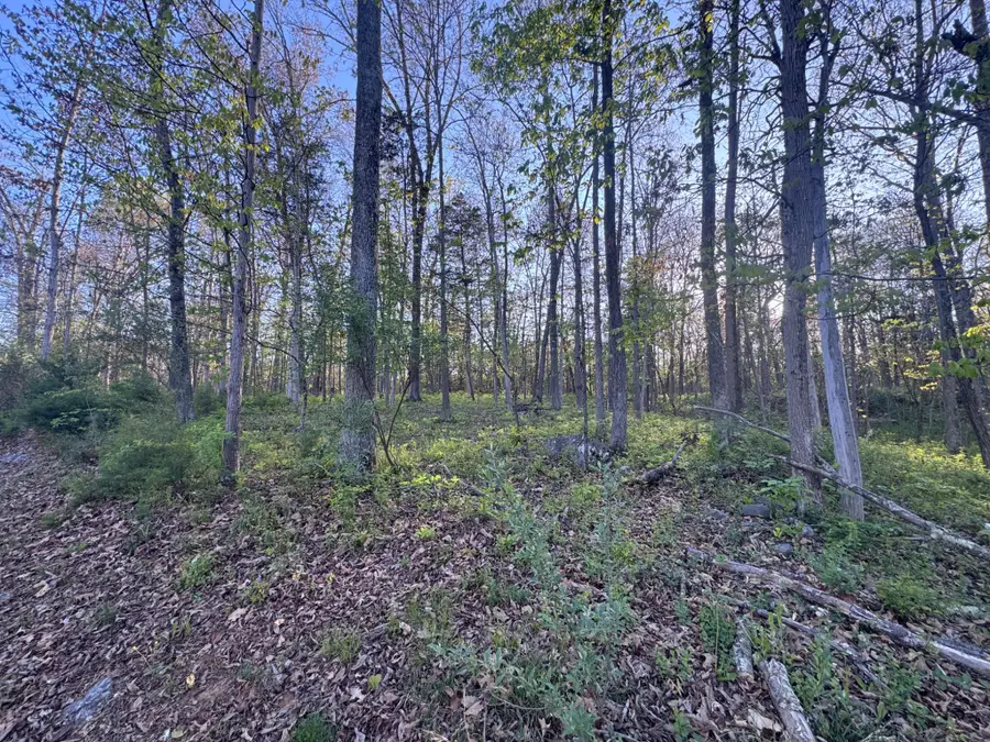 Swift River Way, #lot 6, Shepherdstown, WV 25443 - #2
