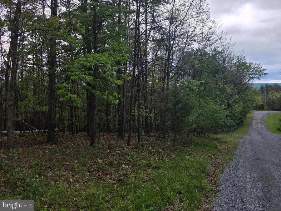 Lot # 18 Monalisa Ln, Gerrardstown, WV 25420 - #2