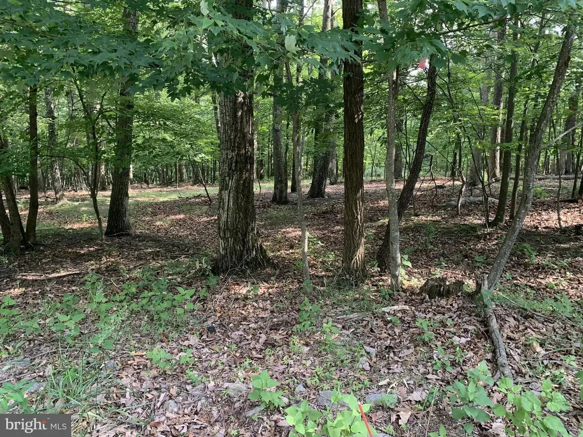 Lot 55 Grimaldi, Hedgesville, WV 25427 - #1