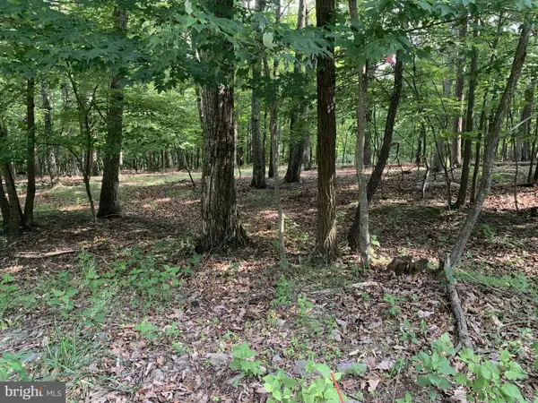 Lot 55 Grimaldi, HEDGESVILLE, WV 25427