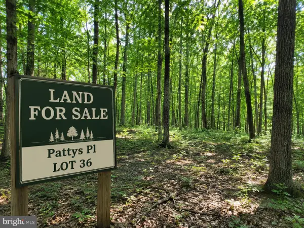 Pattys Pl, FALLING WATERS, WV 25419