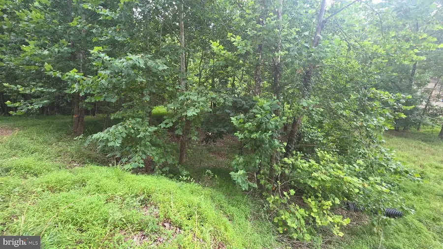 Mountain Lake Rd, Hedgesville, WV 25427 - #3