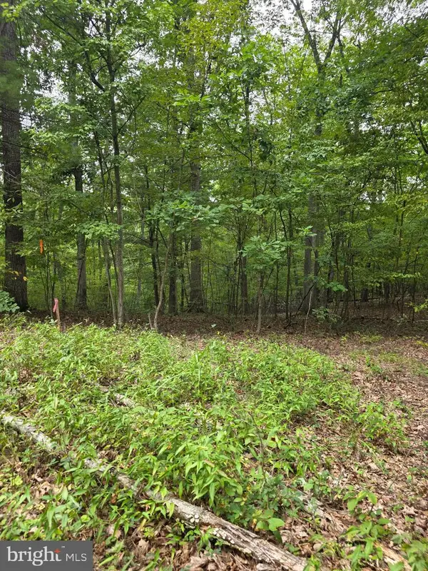 Pink Dogwood Ln, HEDGESVILLE, WV 25427