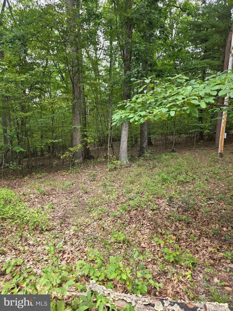 Pink Dogwood Ln, Hedgesville, WV 25427 - #2