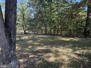 0 Palmer Road, Gerrardstown, WV 25420 - #3
