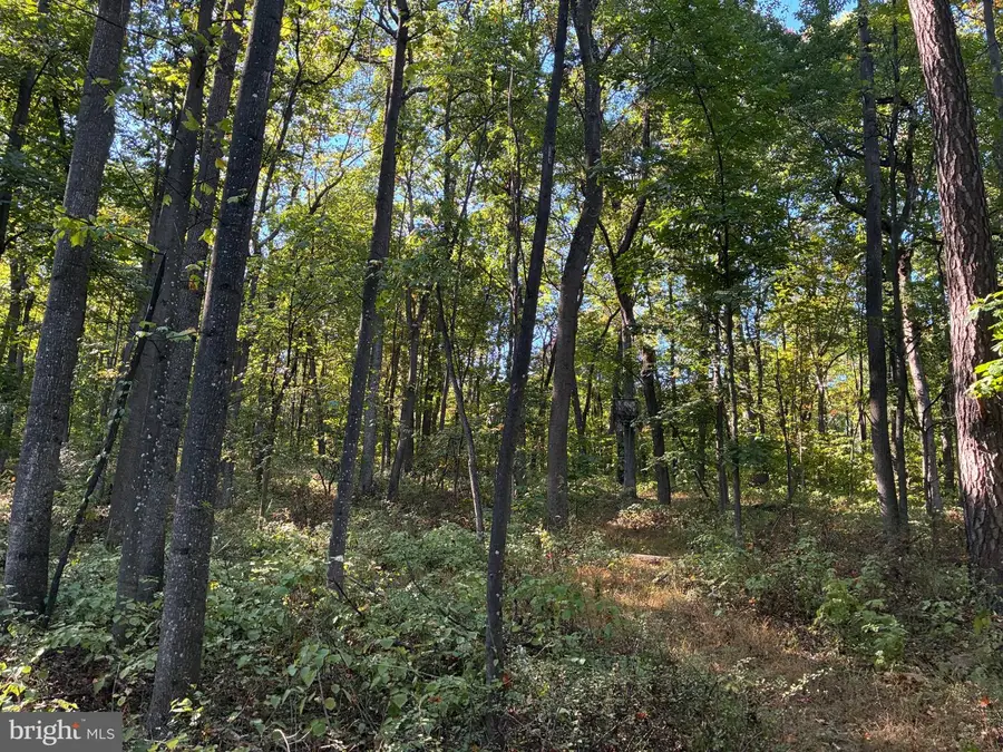 Pa Kath Ln, Martinsburg, WV 25403 - #2