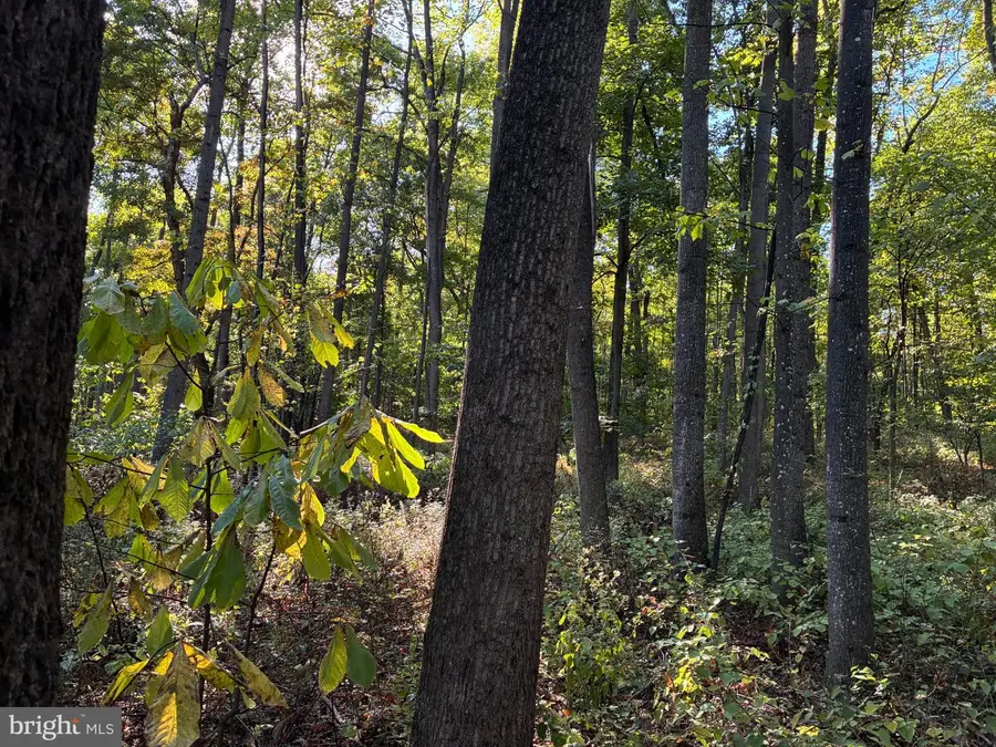 Pa Kath Ln, Martinsburg, WV 25403 - #3