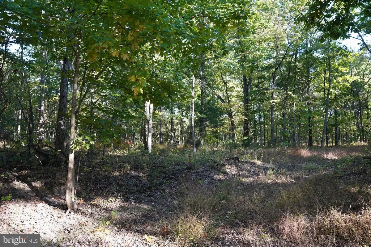 Cedar Ln, Martinsburg, WV 25404 - #1