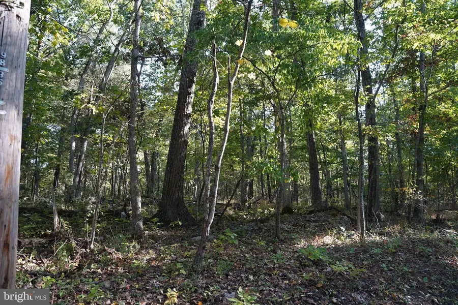 Cedar Ln, Martinsburg, WV 25404 - #3