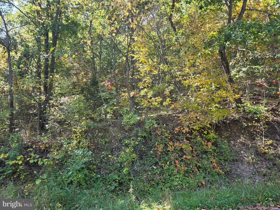 Parsons Rd, Hedgesville, WV 25427 - #2