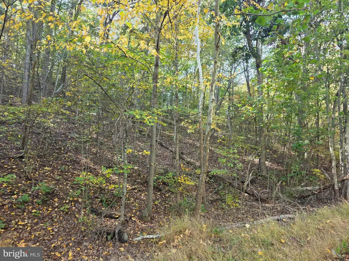 Vacation Way, Hedgesville, WV 25427 - #1