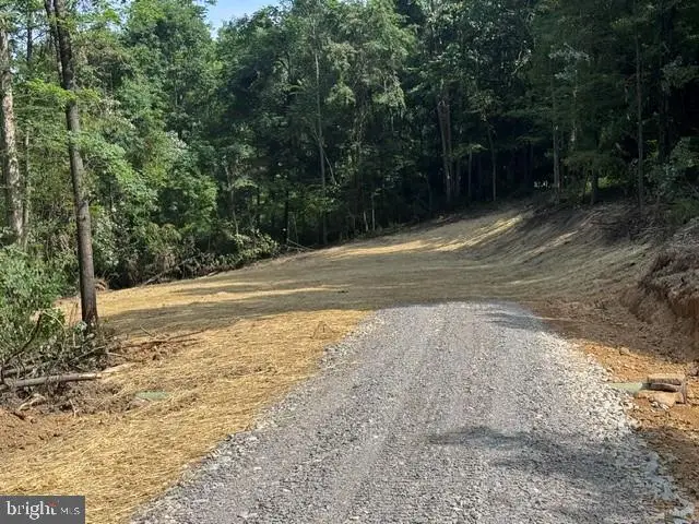 Tbd Locust Grove Rd, Kasson, WV 26405 - #3