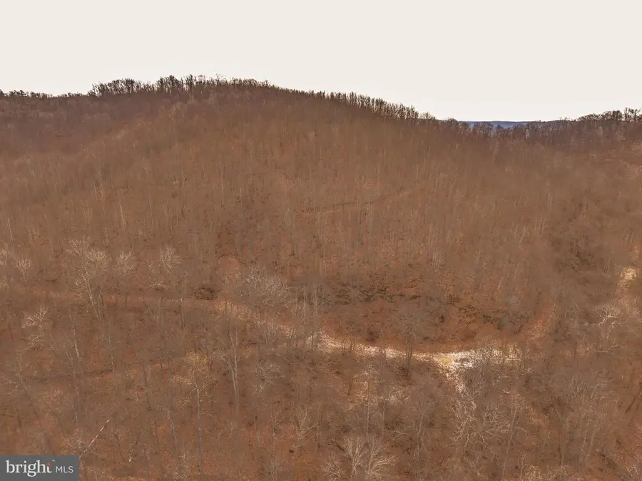 0 Raders Valley Rd, Williamsburg, WV 24991 - Image #3