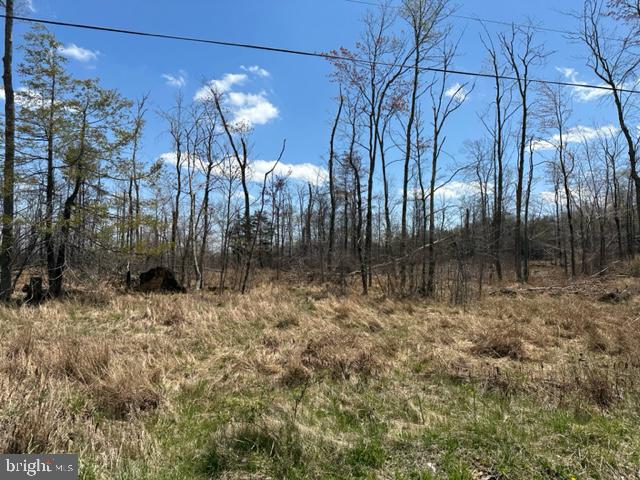 Cherry Ridge Road (lot 3), MOUNT STORM, WV 26739 BHGRE