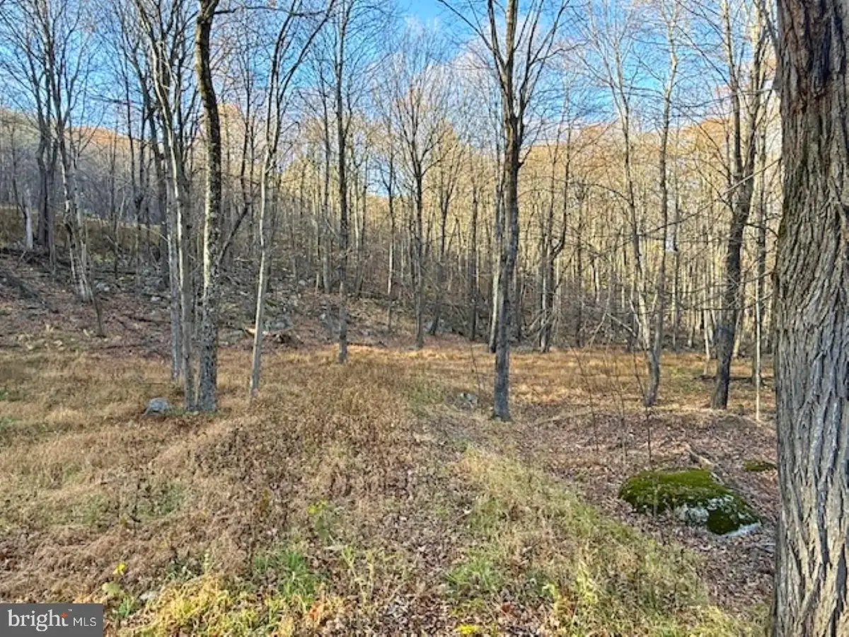 Lot 38 Monongahela Ln, Maysville, WV 26833 - Image #1