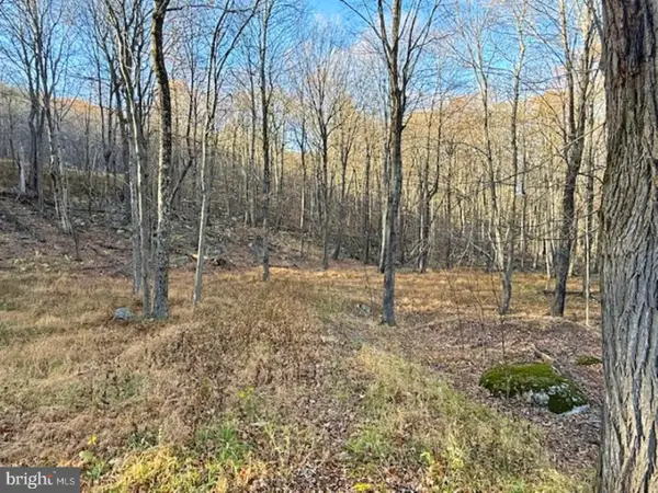 Lot 38 Monongahela Ln, MAYSVILLE, WV 26833