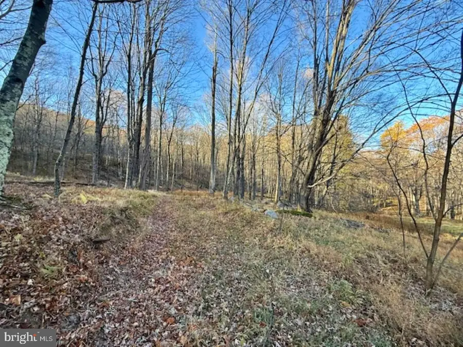Lot 38 Monongahela Ln, Maysville, WV 26833 - Image #3