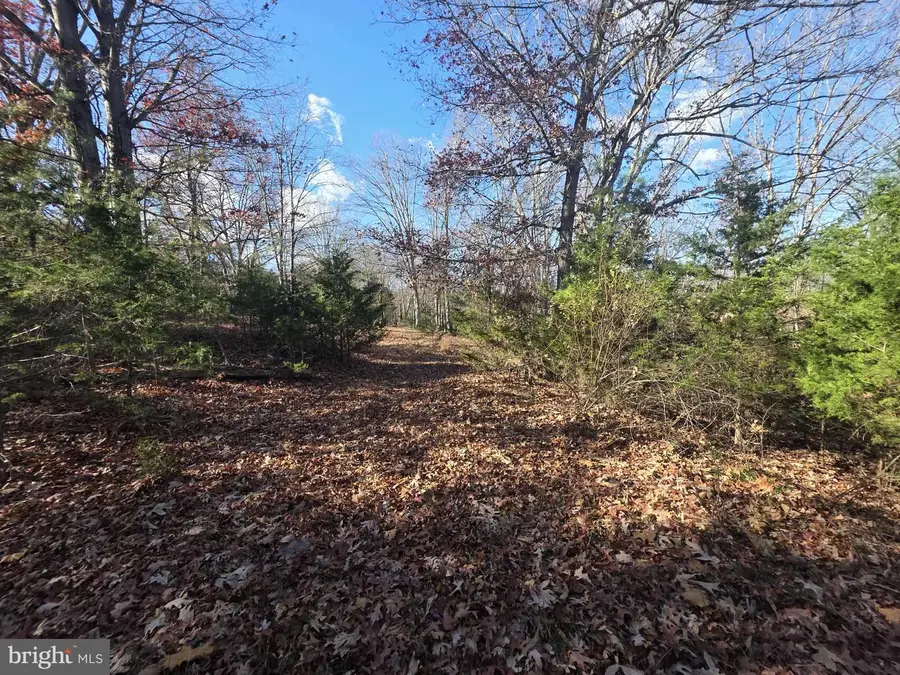 Lot 13 Yeager Court, Petersburg, WV 26847 - Image #3