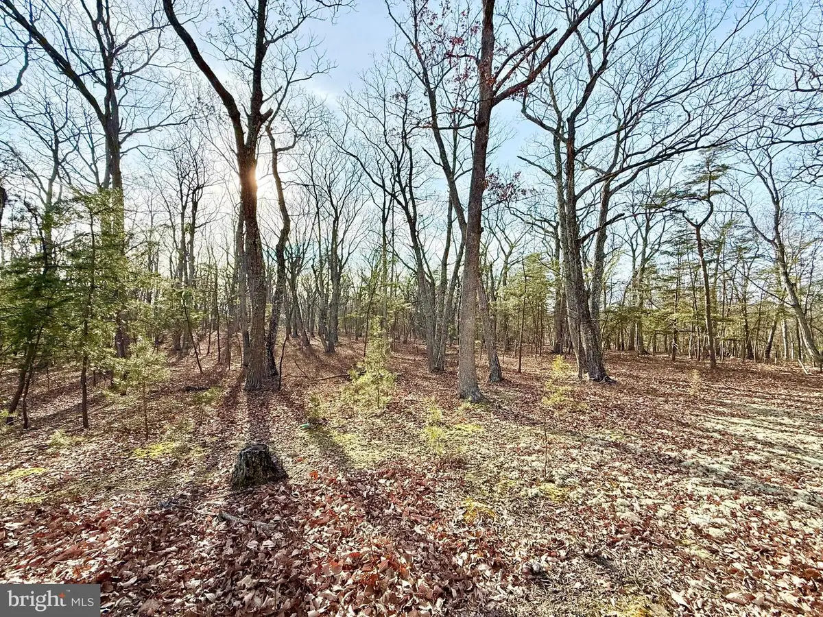 Snickerdoodle Lane, Lahmansville, WV 26731 - Image #1