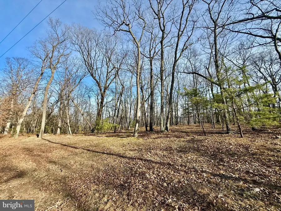 Snickerdoodle Lane, Lahmansville, WV 26731 - Image #3