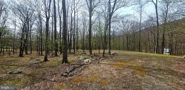 Goldenseal Rd #lot 46, MAYSVILLE, WV 26833