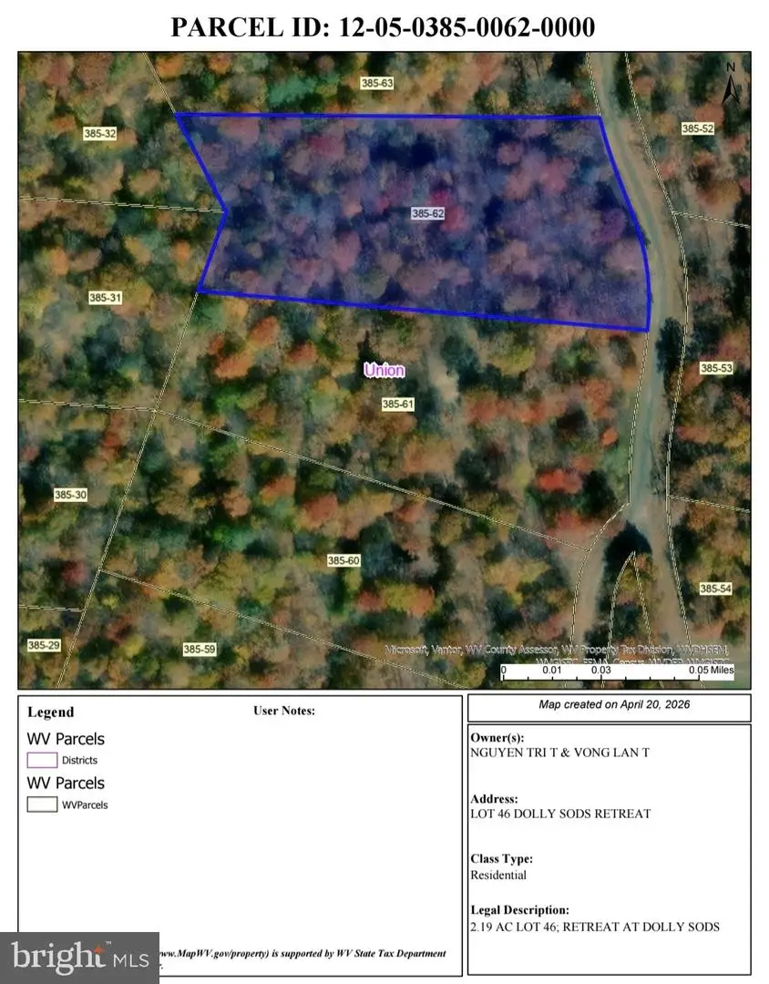Goldenseal Rd #lot 46, Maysville, WV 26833 - #2