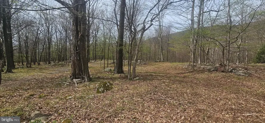 Goldenseal Rd #lot 46, Maysville, WV 26833 - #3