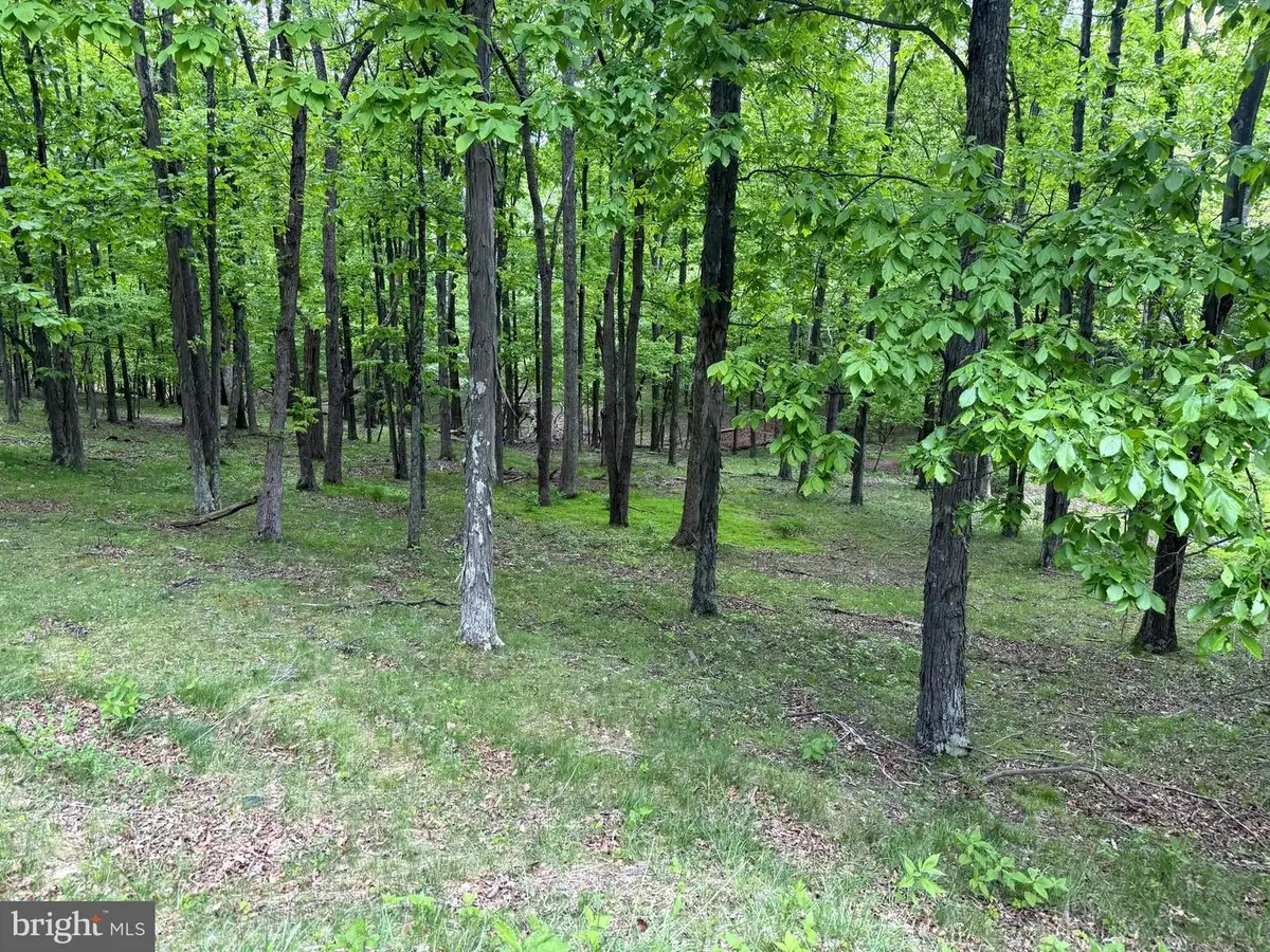 Lot 55 & 56 Sarah Lincoln Dr., New Creek, WV 26743 - #1