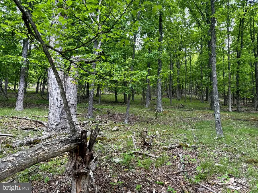 Lot 55 & 56 Sarah Lincoln Dr., New Creek, WV 26743 - #2