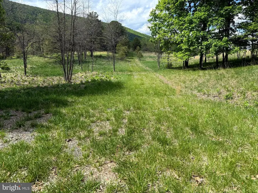 Lot 55 & 56 Sarah Lincoln Dr., New Creek, WV 26743 - #3