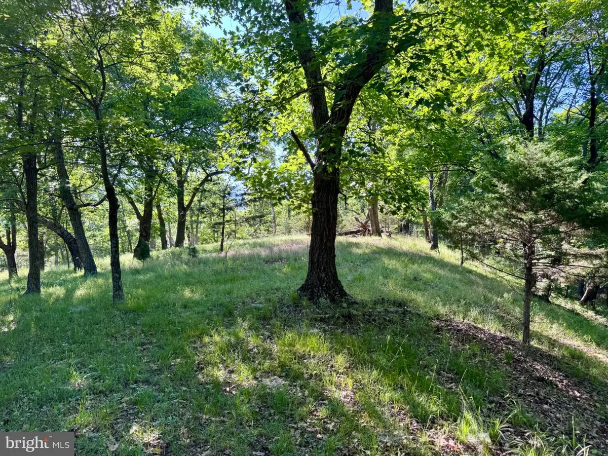 326 Tweed Ln, Petersburg, WV 26847 - #1