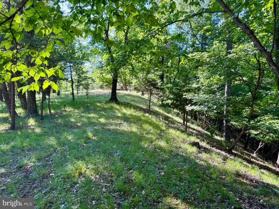 326 Tweed Ln, Petersburg, WV 26847 - #2
