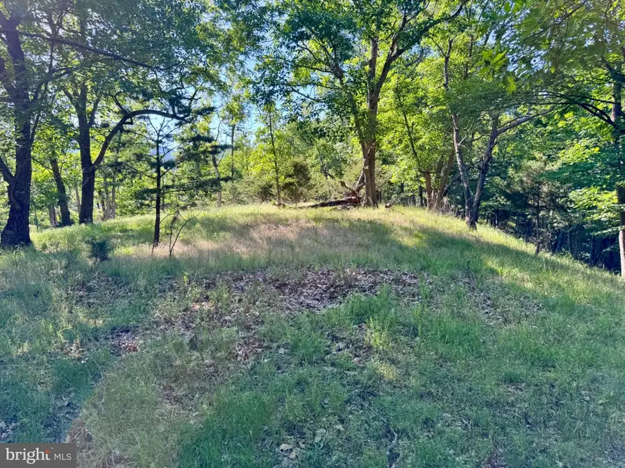 326 Tweed Ln, Petersburg, WV 26847 - #3