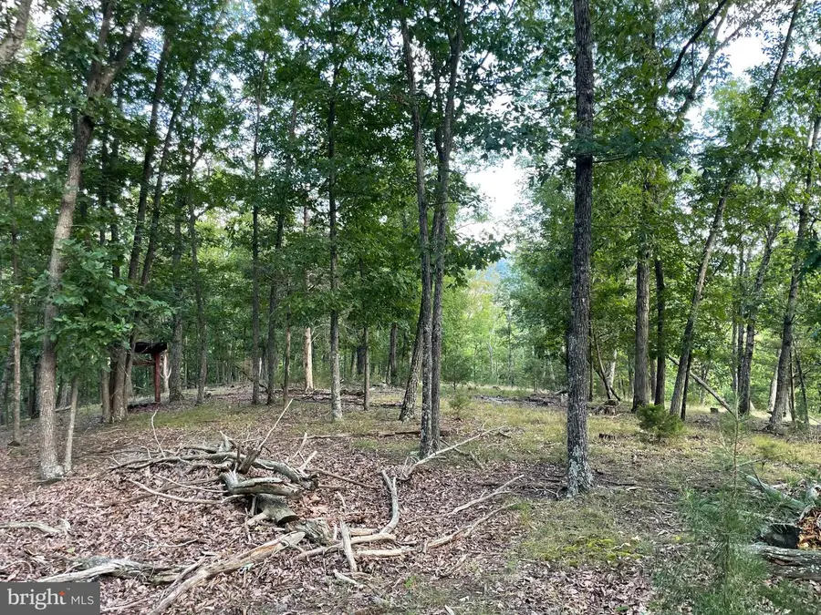 Route 9 26330, Petersburg, WV 26847 - #3