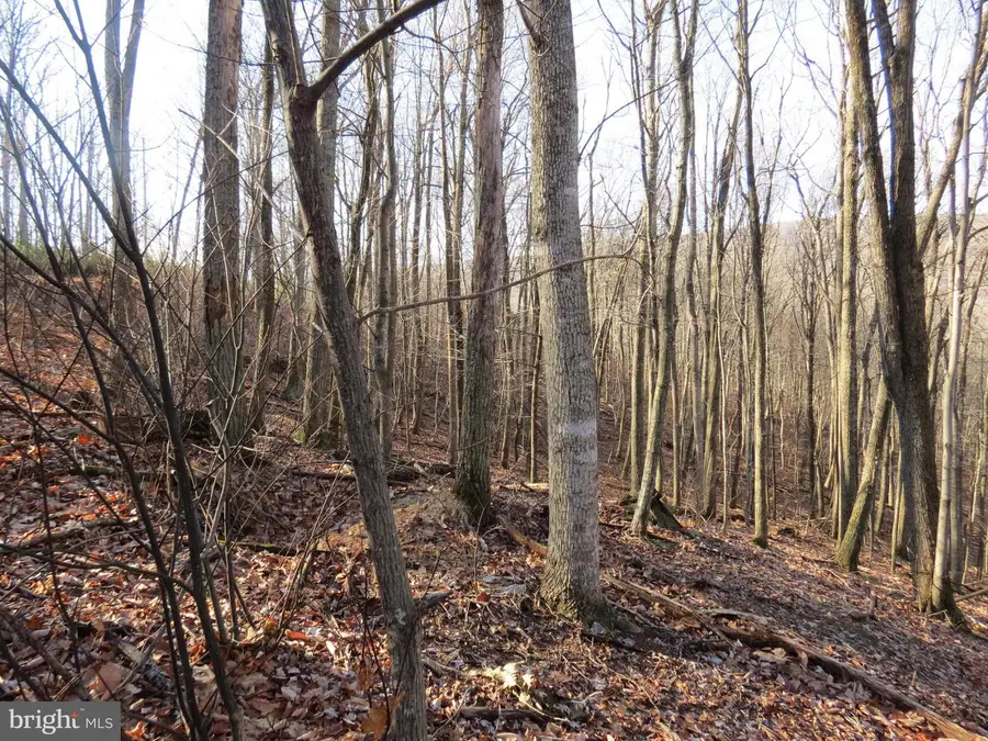 12 Cedarwood Drive Rd, Mathias, WV 26812 - Image #2