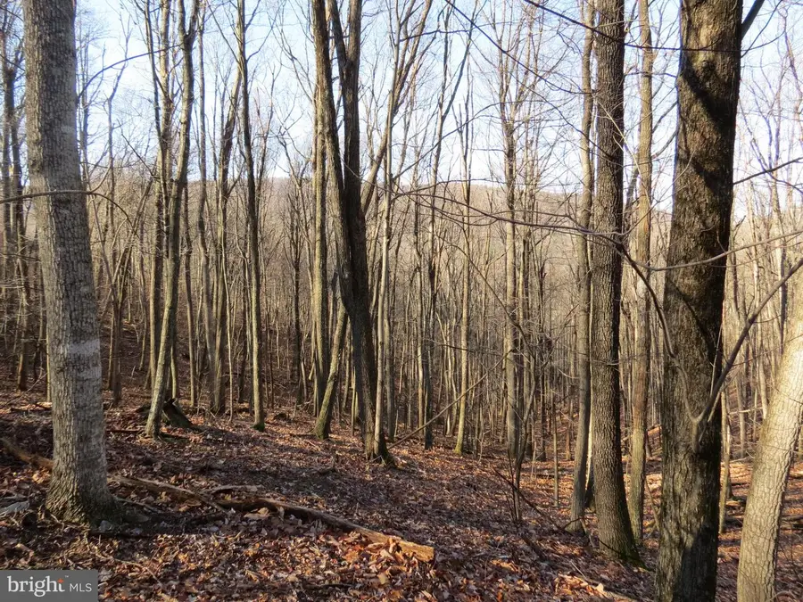 12 Cedarwood Drive Rd, Mathias, WV 26812 - Image #3