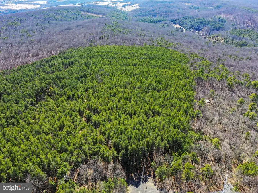 Lot66&67 Baker Mountain Dr, Wardensville, WV 26851 - #2