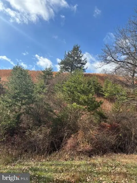 Ewing Drive, Baker, WV 26801 - Image #1